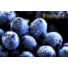 Kép 2/3 - kék szőlő eldorado koktélszirup